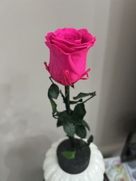 Couronnes de fleurs décoratives Imortal vraie rose avec une vraie branche Longue dernière fleur Petit prince cadeau pour petite amie Rose préservée cadeau pour la fête des enseignants 230726