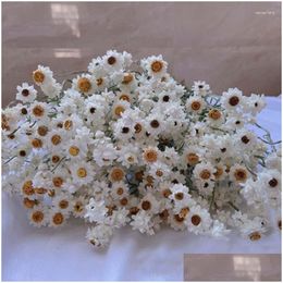 Decoratieve bloemenkransen Meer dan 60 bloemhoofdjes/bundel DIY-arrangement Echt natuurlijk droog wit Cineraria-boeket Woondecoratie D Dhsgv