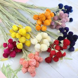 Couronnes de fleurs décoratives Fleurs séchées naturelles Bouquet de fruits aux fraises véritables pour bricolage Décoration nordique de maison de campagne Accessoires de décoration de fête de mariage 230822