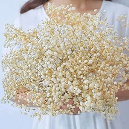 Couronnes de fleurs décoratives naturelles fraîches séchées conservées Gypsophila paniculata babys souffle bouquets de fleurs cadeau pour la décoration de mariage décor à la maison 231213