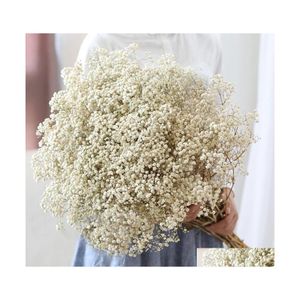 Decorative Flowers Wreaths Natural Fresh Dried Preserved Gypsophila Panicata Babys Breath Flower Bouquets Gift For Wedding Drop De Dhj1O
