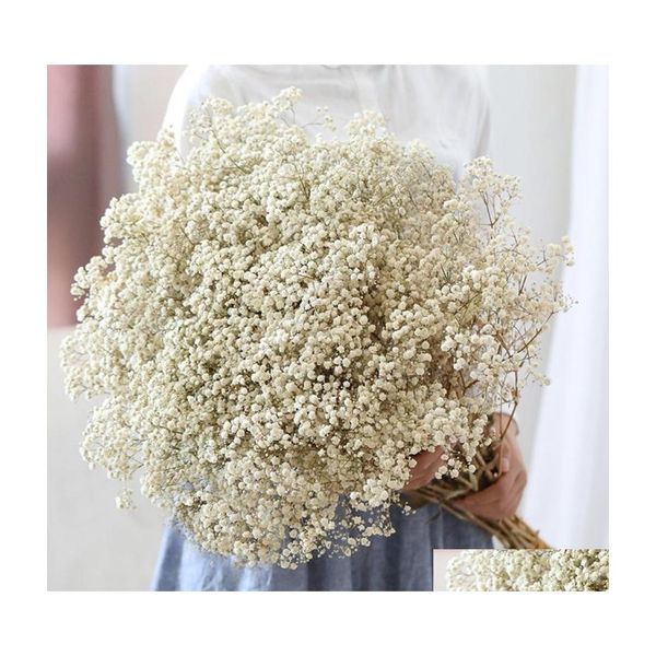 Couronnes De Fleurs Décoratives Naturelles Fraîches Séchées Préservées Gypsophile Panicata Babys Breath Bouquets De Fleurs Cadeau Pour Mariage Drop De Dhcsi