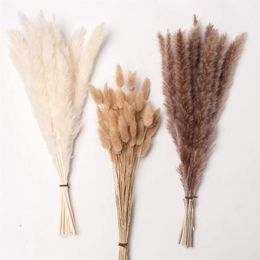 Decoratieve bloemen kransen Pampa decoratie Communis Phragmites Pampas gras groot boeket Sechees Lisdodde bruiloft arrangement D2406