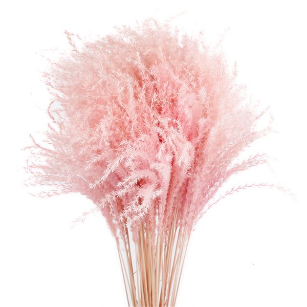 Couronnes de fleurs décoratives rose blanc couleur décor d'herbe de pampa bouquets de fleurs naturelles séchées fleurs de mariage fleurs de plumes hauteur 19-22 décor de noël 230804