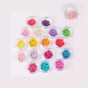 Decoratieve Bloemen Kransen Geperst Gedroogde Narcissus Pruimenbloesem Bloem Met Doos Voor Epoxyhars Sieraden Maken Nail Art Craft Diy Dhu8F