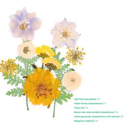 Ghirlande di fiori decorativi Fiori pressati misti secchi Fai da te Arte Collezione di decorazioni floreali Regalo artigianale DO