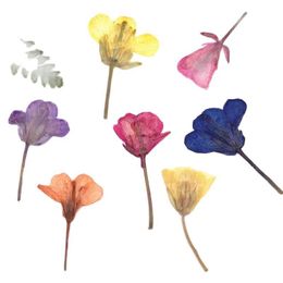 Couronnes de fleurs décoratives fleur de colza spécimens d'enseignement bricolage matériaux de presse séchés pour ornement d'ongle 120 piècesdécoratif décoratifdécoratif