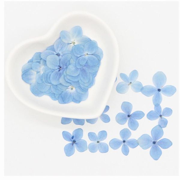 Couronnes de fleurs décoratives véritables pétales d'hortensias pressés séchés naturels petit hortensia bleu Roses sèches pour bricolage artisanat résine bijoux ongles