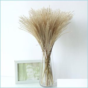 Decoratieve bloemen kransen echte pampa's gras natuurlijke gedroogde planten bruiloft bloemen droge bloemboeket pluizig heerlijk voor vakantie hom dhv7e