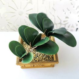 Couronnes de fleurs décoratives Real Touch vert artificiel Latex papillon orchidée Phalaenopsis feuille fausses plantes pour la fête de mariage décoration de la maison