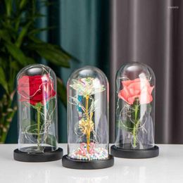 Fleurs décoratives couronnes Rose fleur décoration verre dôme éternel saint valentin vacances cadeau pour petite amie fête
