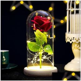 Couronnes de fleurs décoratives avec lumières LED dans un dôme en verre, cadeaux d'anniversaire pour la Saint-Valentin, décoration de fête, 5 couleurs, Ot6M5
