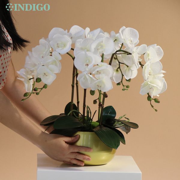 Couronnes de fleurs décoratives White Moth Orchid DIY Flower Arrangement 5PCS Orchid4PCS Moss3PCS LeavesPot Butterfly Flower Decoration Centre de table INDIGO 230313