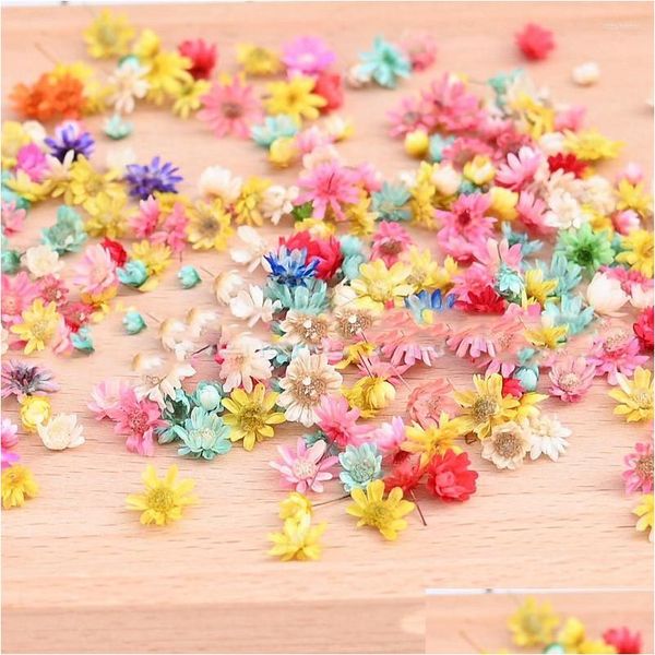 Couronnes de fleurs décoratives en gros 50G / lot tête de fleur séchée plantes de marguerite pour pendentif en résine époxy collier fabrication de bijoux artisanat Dhtqj