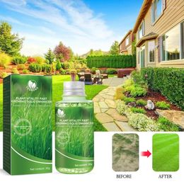 Decoratieve bloemen Yegbong Plant Nutrient Fertilizer Bloem Pot Lawn Green Leaf Rooting Groei