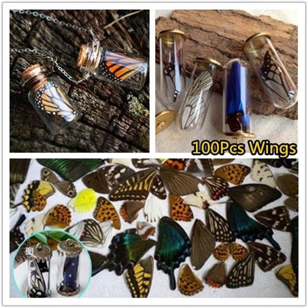 Objets décoratifs Figurines 100Pcs / Set Réels Spécimens Naturels Ailes De Papillon Bijoux DIY Artwork Art Hand Craft Happy ING 230403