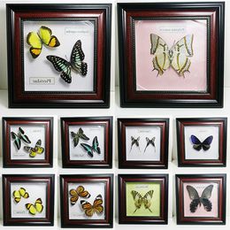 Objetos decorativos Figuritas Espécimen de mariposa P Estéreo Adorno de escritorio Decoración de sala de estar Regalo para niños Cuadrado 16 cm 230725