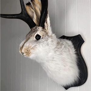 Objets décoratifs Figurines Creative Résine Artisanat Animal Diable Lapin Taxidermie Ornements Maison Tête De Cerf Animal Décoration Murale Suspendue Villa Décoration Murale 230321