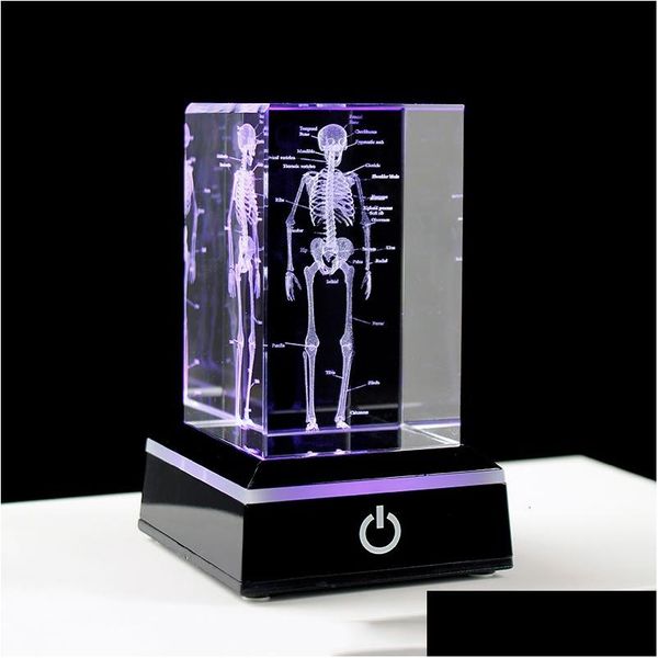 Objetos decorativos Figuras Crystal 3D Láser grabado Anatómico Anatómico Cubo Modelo Estatua Anatomía de pisapapeles Neurol Dhapu