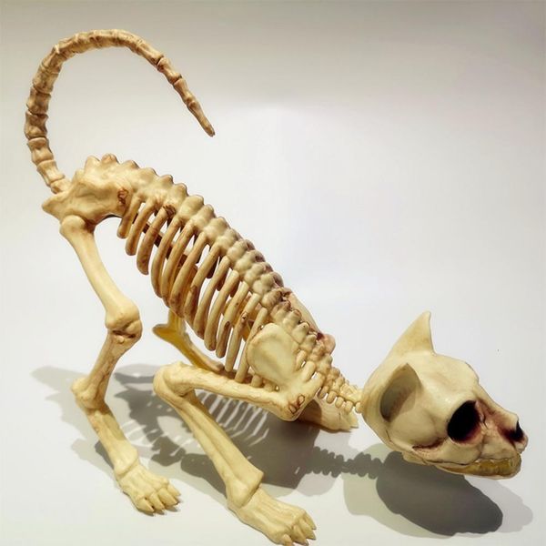 Objets décoratifs Figurines Halloween Effrayant Squelette Décoration 1 Pcs Crouching Cat Squelette Chat Crâne Modèle Creepy Animal Bones pour VAMPIRE Party Trick 230629