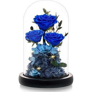 Objets décoratifs Figurines Roses réelles belles femmes et animaux sauvages conservés dans les cadeaux d'anniversaire de Thanksgiving de la fête des mères en verre H240521 VOFG