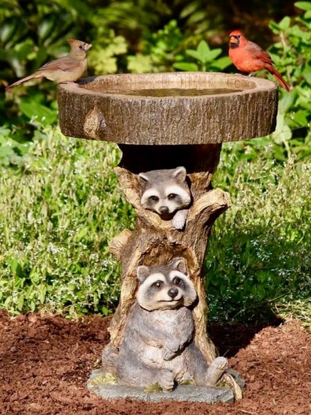 Objetos decorativos Figuras Retro Resina Mapache Birdbath Poliresina Girasol Bird Bath Feeder Animal Antique Garden Yard Decor Adornos de interior al aire libre 230530