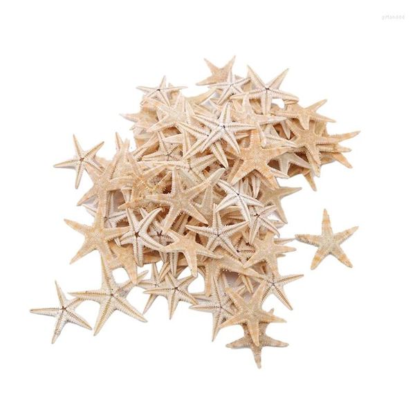 Platos decorativos 100 Uds estrella de mar Natural concha playa artesanía estrellas de mar DIY decoración de boda manualidades decoración del hogar 1-5Cm