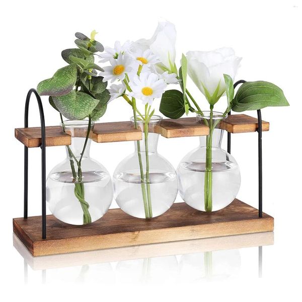 Plaques décoratives Station de propagation des plantes avec support en bois Stations de bureau terrarium