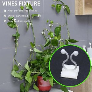 Decoratieve platen muur rattan klemclip onzichtbare wijnstok klimmen plakkerige haak vaste beugel huishoudelijke decor plantentuinsteunen