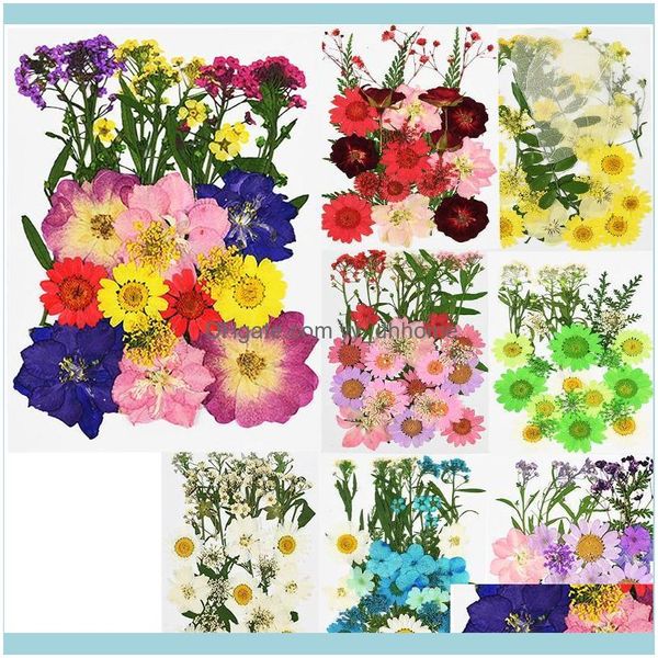 Couronnes décoratives fournitures festives maison jardin fleurs pressées petite fleur séchée plante bricolage à la main Scrapbooking Floral signet carte Gif