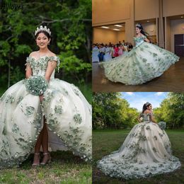 Délicat vert floral en dentelle appliquée robes de quinceanera sexy à l'épaule princesse gonflée robe de bal de bal reine danse sweet 15 16 robe formelle vestidos cl3105