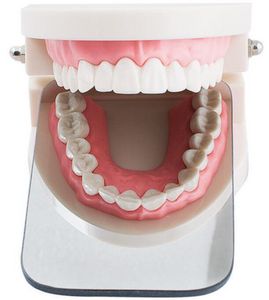 Dental Double face photo bouche miroirs