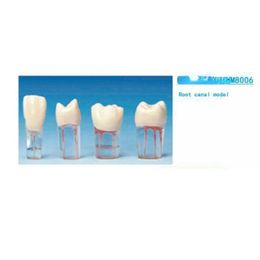 Dental Endo Training Block Tooth Endodontics Root Canal Model Dentistry Students Practice Medullary Pulp Cavity Clear Resin