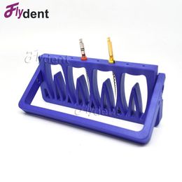 Porte-plastique dentaire pour les fichiers rotatifs K H R mesure l'instrument Endodontic File Force