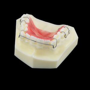 Modèle de dents de dents Orthodontics Traitement Bionator amovible for Dentistry Dentist Study Demo Dentures Dentures Hawley Retenue