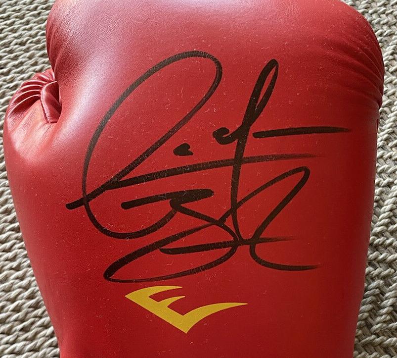 Deontay Wilder Freddie Roach FERNANDO VARGAS Materials Signed Autograph signatured Autographed auto boxing gloves