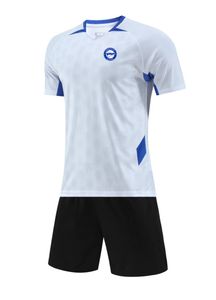 Deportivo Alaves Hommes Enfants Survêtements Sport de loisirs de haute qualité Combinaison à manches courtes Combinaisons d'entraînement en plein air avec manches courtes et t-shirts fins à séchage rapide