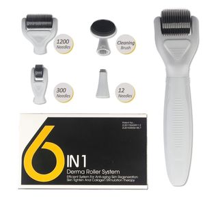 Dermaroller 6 in 1 Derma Roller Kit Microneedle Huidverzorging Gezichtsborstel en Stempel met Travel Case 10Sets / Lot Gratis DHL verzending