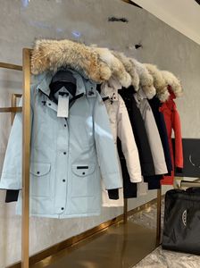 Dersigner canadien femmes et hommes 90 pour cent d'oies blanches amoureux vestes manteau automne hiver chaud col montant randonnée Canada nouveau