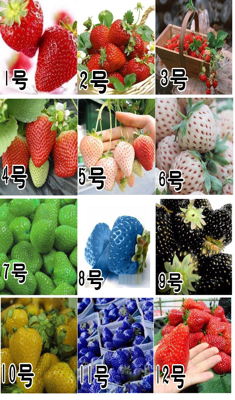 100 PC/bolso Semillas de color R paja arco fresas fruta multicolor Semillas Semilla Jardín Macetas y ERS 