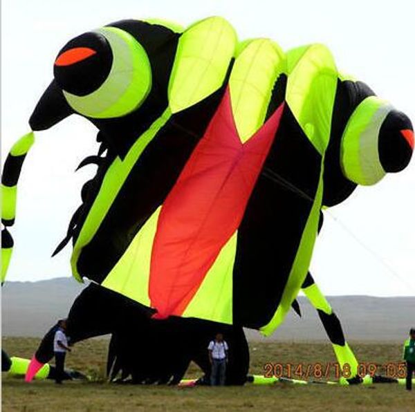 Cerf-volant trilobite souple en tissu nylon, design 3D, 10 m², roue de cerf-volant de sport facile à voler
