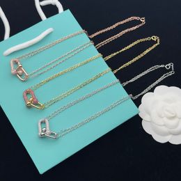 Accesorios de diseño Exquisitos collares de moda Collar de diamantes de herradura multicolor regalo Accesorios de joyería de acero inoxidable Colgante de lujo para mujer