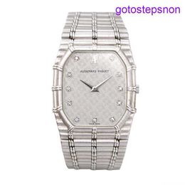 Designer AP WolsWatch Mens Watch 18K Platinum Manual Mechanical Classic Fashion Womens Watch Luxury Watch Clock Swiss Watch Famous