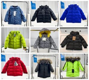 Designer babyjongens meisjes jassen herfst winter kinderen afneembaar down jas met kap kinderen jassen peuter kinderkleding outerwea4726598