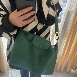 Designer tas hoogwaardige nieuwe kalf lederen onderarm tas voor dames echte koeienhuid hobo messenger tas grote capaciteit met één schouder mini dumpling tas