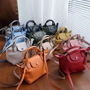 Designer Bag Luxury Tote Women Long Shoulder Crossbody Shopping Beach Fashion Famous The Handbag Schouders Fashion Flap Purse Organize