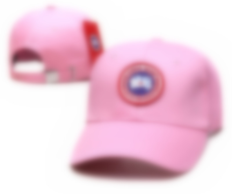 Tasarımcı Beyzbol Kapağı Ins Popüler Kanada Mektubu Kaz Kaz Nakış Top Caps Velvet Malzeme Rahat ve Nefes Alabilir 14 Renk E-11