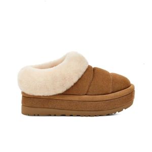 Bottes de créateurs Marque Peluche Tazzlita Plateforme Pantoufles Bottes Femmes Bois de Shearling Doublé Manchette Fourrure Slide Designer Chaussure Châtaigne Matelassé En Peau De Mouton Bottine