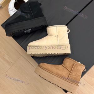 Designer Laarzen Dames Tazz Slippers Tasman Schoenen Bont Slides Ultra Mini Platform Boot Australië Sneeuwlaars Suede Wool Seal Winterlaarzen