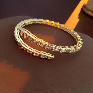 Bracelet de créateur Bracelets à breloques en os de serpent Zircon en forme de serpent Bracelet ouvert Bracelets en diamant complet